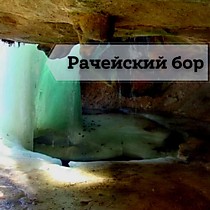 Рачейский бор